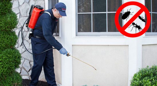Gerede Hamam Böceği İlaçlama böcek ilaçlama ve haşere kontrolü — ilaclama-tr.com